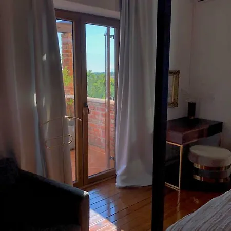 Vila Luxury In Istria