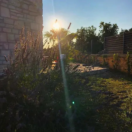Luxury In Istria *